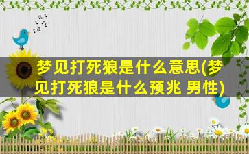 梦见打死狼是什么意思(梦见打死狼是什么预兆 男性)